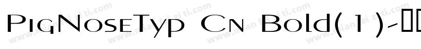 PigNoseTyp Cn Bold(1)字体转换